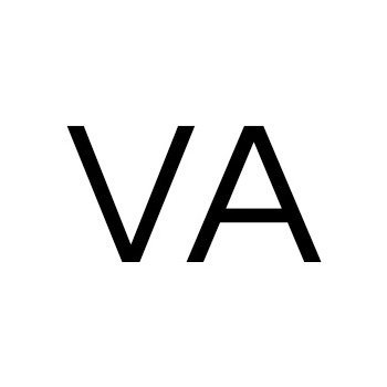 VA LOGO BLOCK